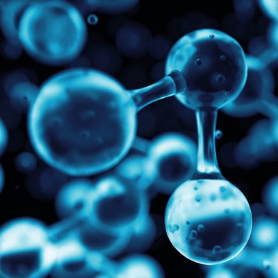 Peptides and HTMA Lisa Pitel-Killah Health & Performance
